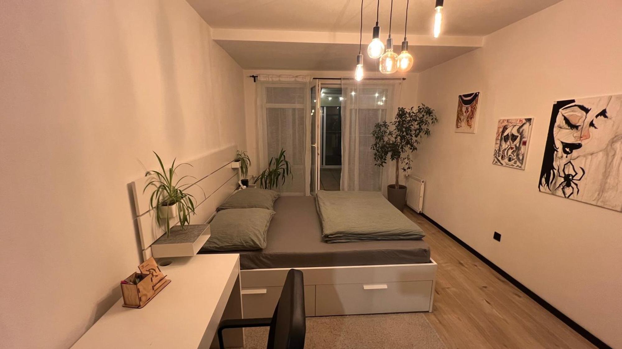 Lake Apartment, 2X Free Garage, 10 Mins To Centre Братислава Екстер'єр фото
